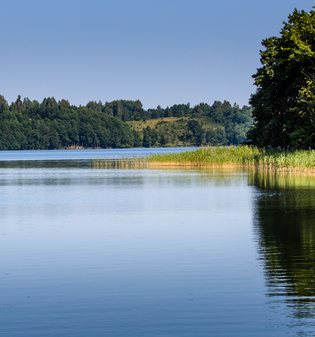 Lake and Pond Annual Management